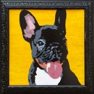 Doggy thumbnail
