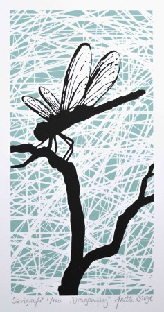 Dragonfly